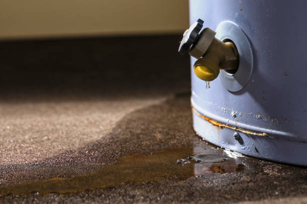 Best Mold removal after water damage  in Bagdad, FL
