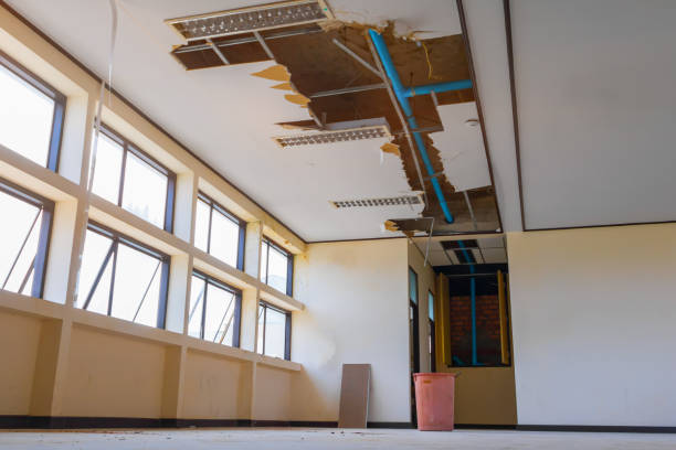 Best Water damage restoration mold remediation  in Bagdad, FL