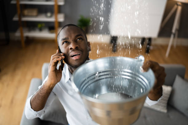 Best Local water damage restoration  in Bagdad, FL