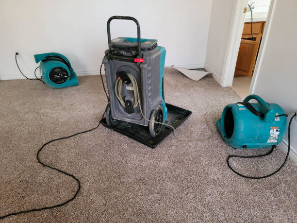 Best Commercial water damage restoration  in Bagdad, FL