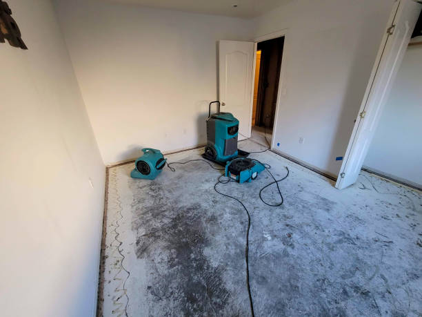 Reliable Bagdad, FL Water damage restoration Solutions