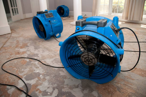 Water damage restoration process in Bagdad, FL