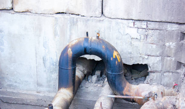 Best Water damage cleanup near me  in Bagdad, FL